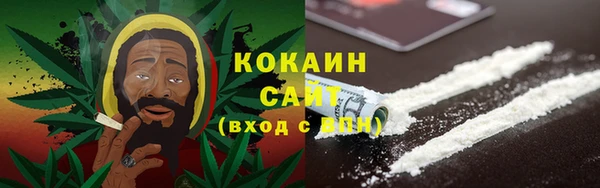 соль курить ск Каменка