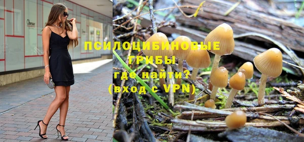 соль курить ск Каменка