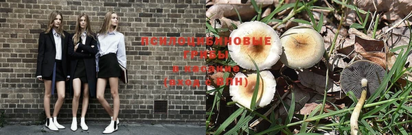 mdpv Каменск-Шахтинский