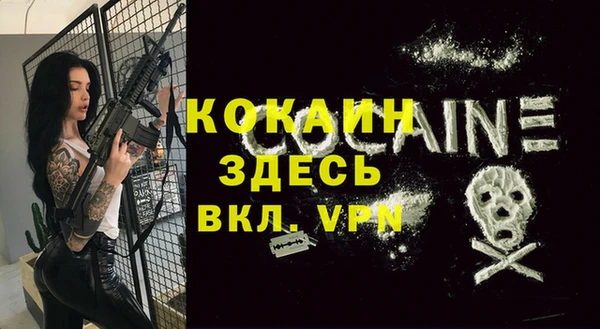 соль курить ск Каменка