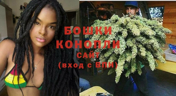 соль курить ск Каменка