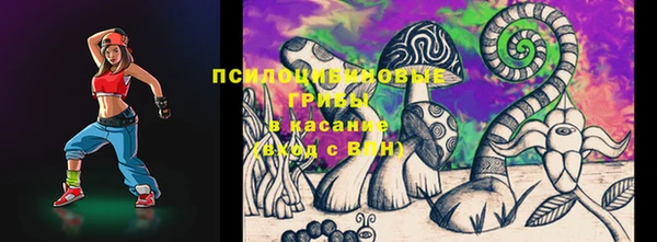 mdpv Каменск-Шахтинский